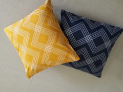 Cushion